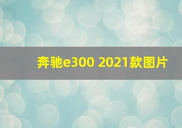 奔驰e300 2021款图片